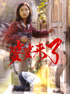 婆婆来了（短剧版）