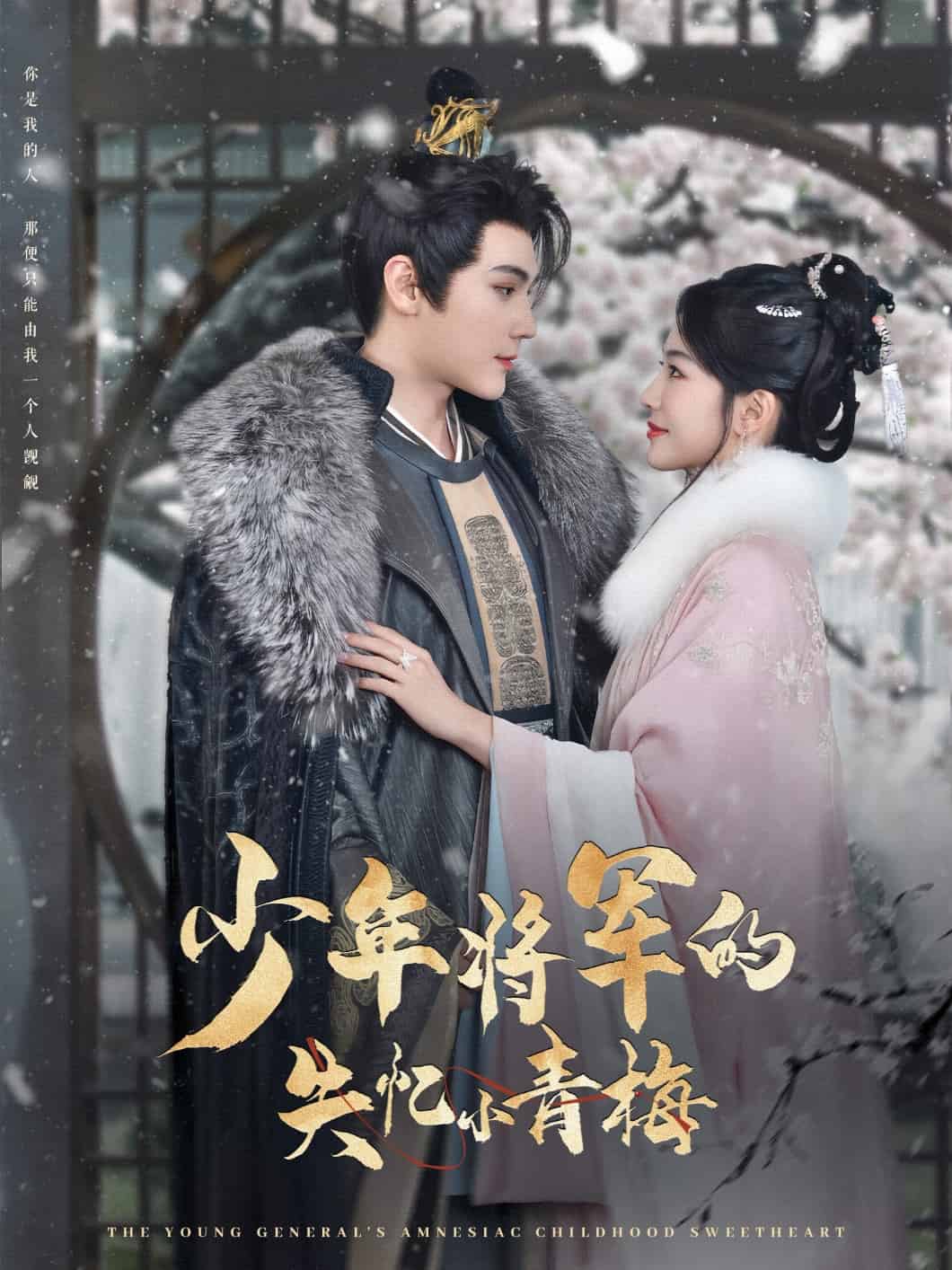 少年将军的失忆小青梅